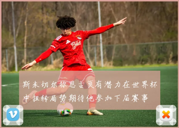 斯米切尔称恩古莫有潜力在世界杯中扭转局势期待他参加下届赛事