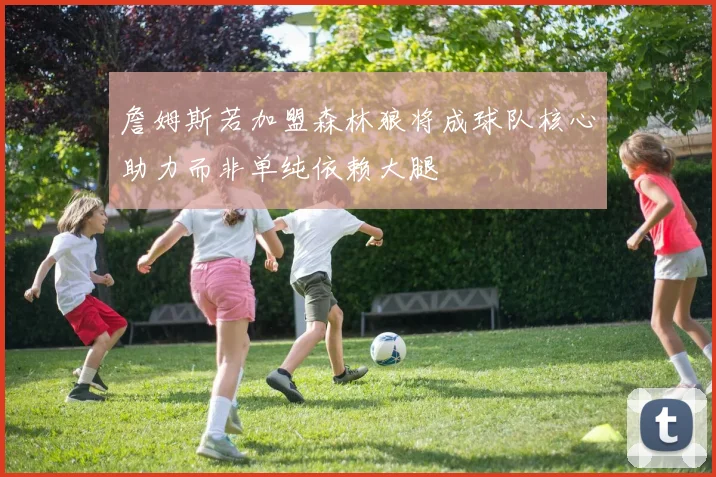 詹姆斯若加盟森林狼将成球队核心助力而非单纯依赖大腿